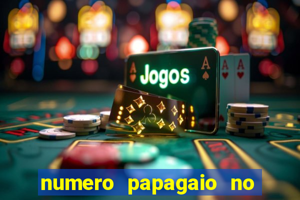 numero papagaio no jogo do bicho