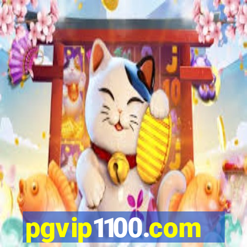 pgvip1100.com