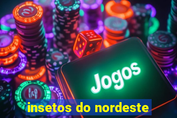 insetos do nordeste