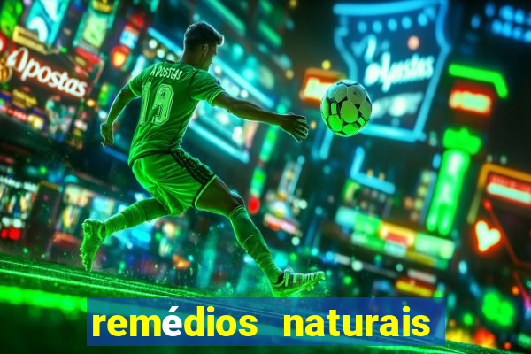 remédios naturais para diabetes