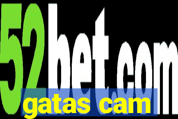 gatas cam