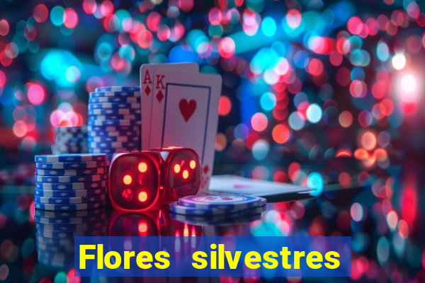 Flores silvestres brasileiras brasileiras flores silvestres nomes e imagens