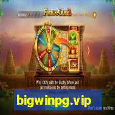 bigwinpg.vip