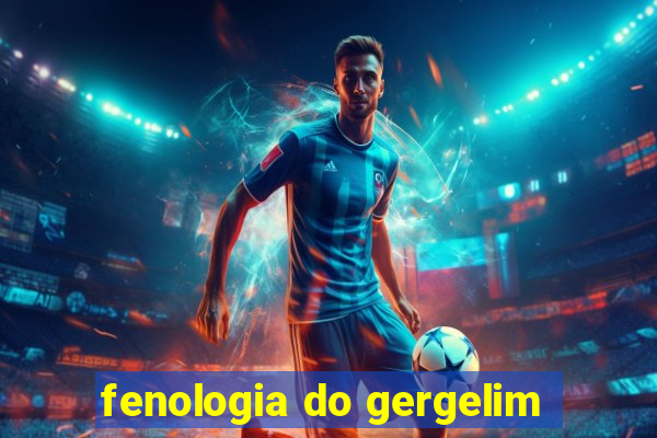 fenologia do gergelim