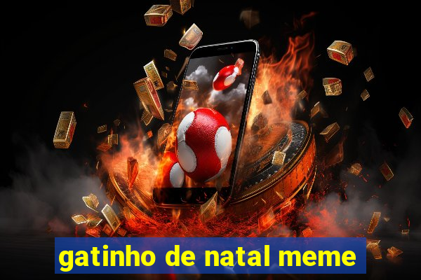 gatinho de natal meme