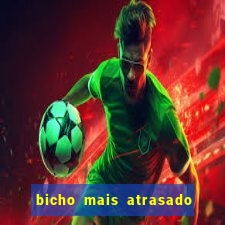 bicho mais atrasado na bahia