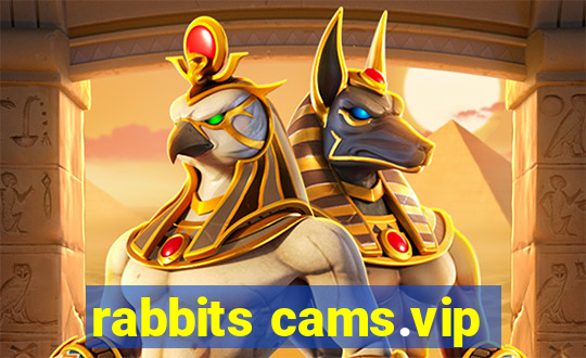 rabbits cams.vip