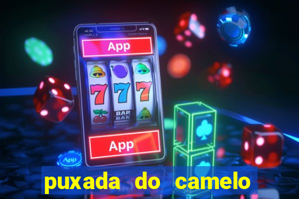 puxada do camelo jogo do bicho