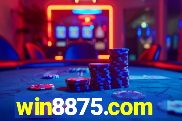 win8875.com