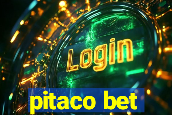 pitaco bet