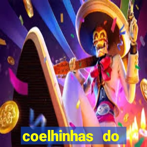 coelhinhas do brasil recife