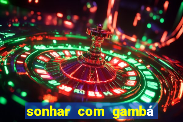 sonhar com gambá jogo do bicho