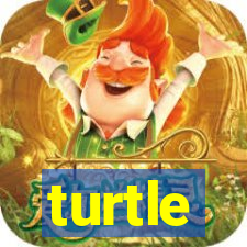 turtle-ty.com